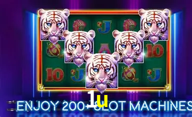 Game shows ao vivo